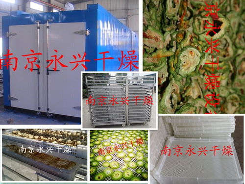 專業(yè)設計服務 從構(gòu)想到實現(xiàn)的卓越旅程